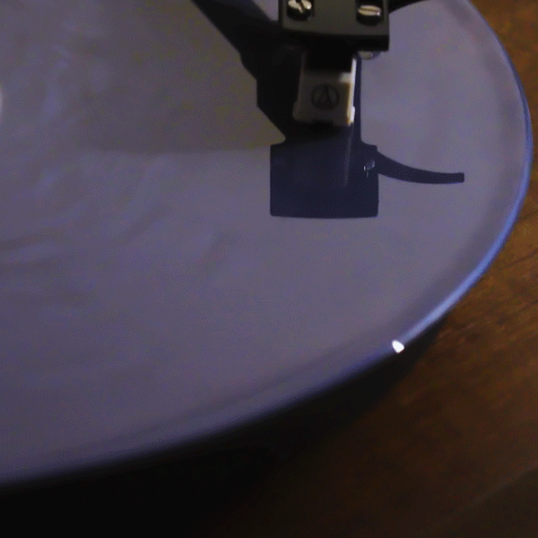 Man's Best Friend D2C Luxe Packaging LP