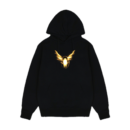 Icon Hoody