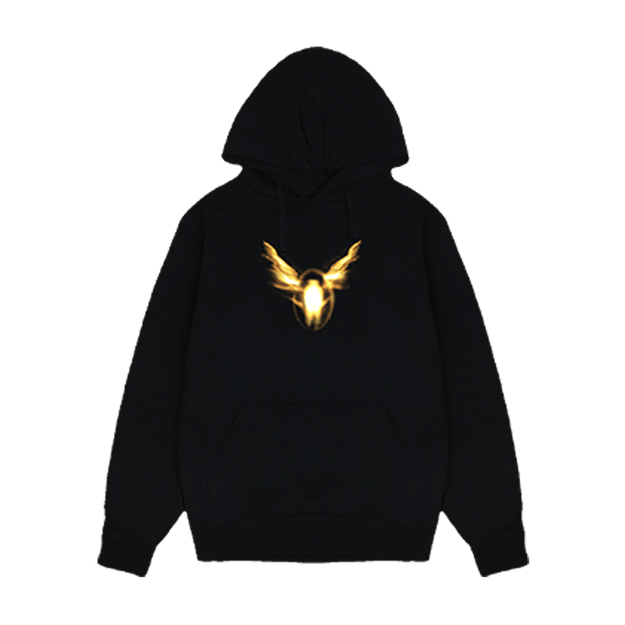 Icon Hoody