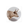 Middle of Nowhere - Store Exclusive Horny Picture Disc Vinyl