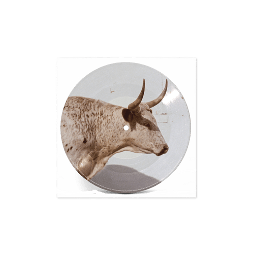 Middle of Nowhere - Store Exclusive Horny Picture Disc Vinyl