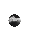 petal exclusive picture disc