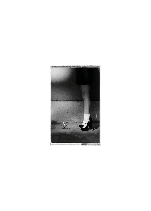 petal exclusive recycled black cassette