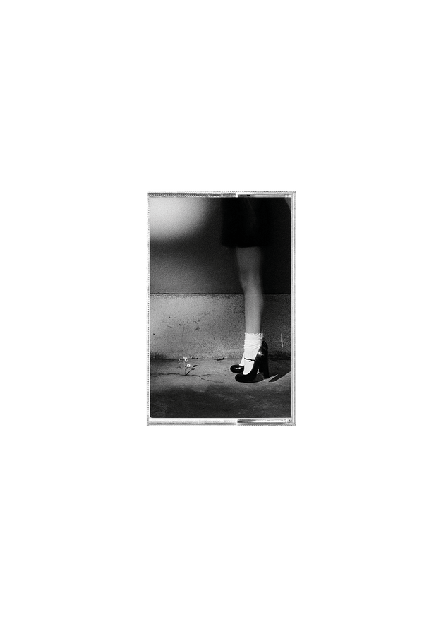 petal exclusive recycled black cassette