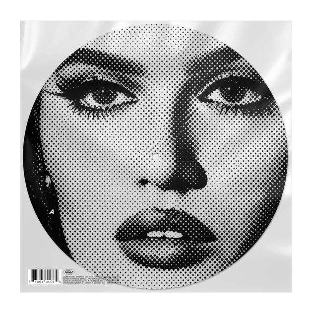 Visitor (Deluxe Unplugged) Store Exclusive Picture Disc