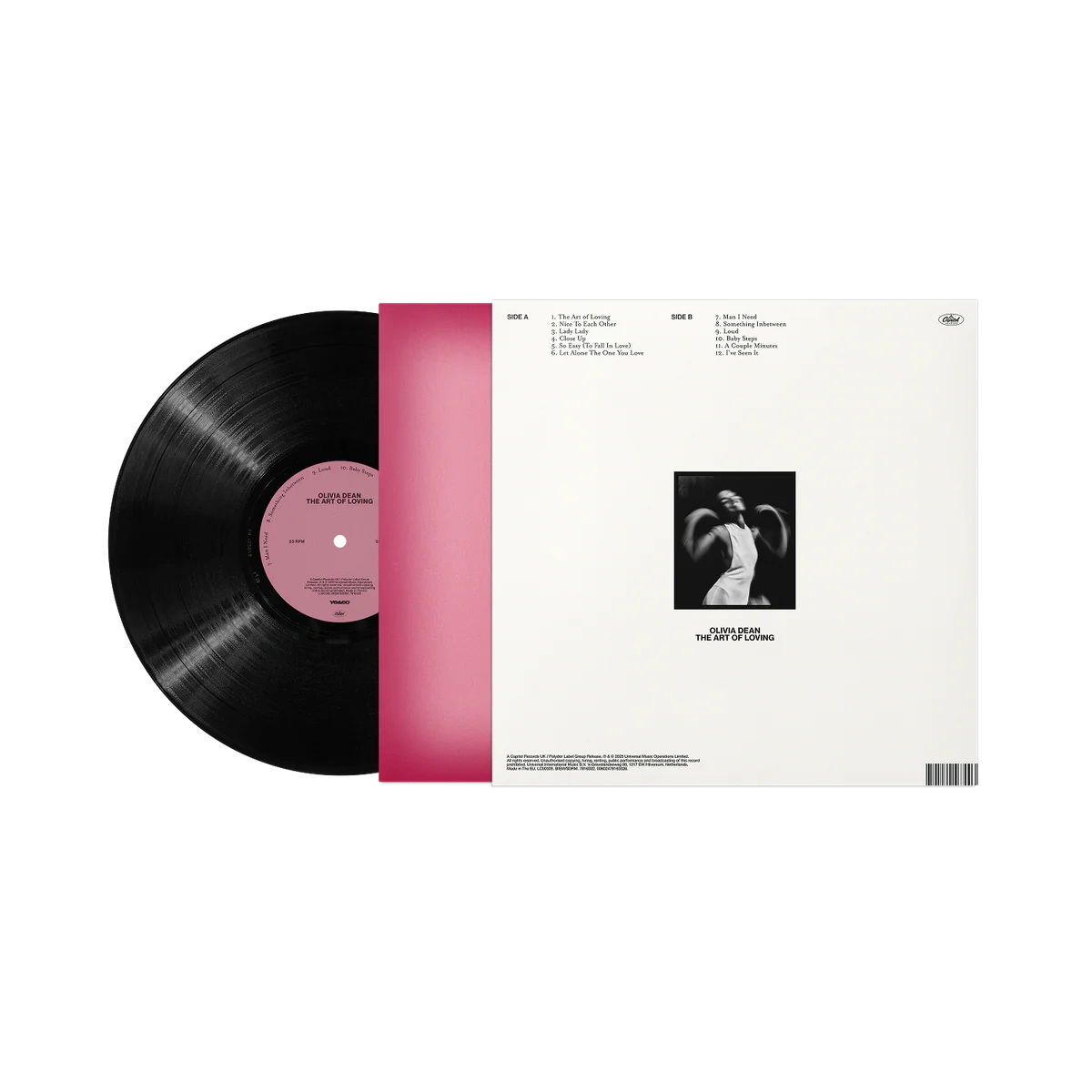 The Art of Loving Vinyl