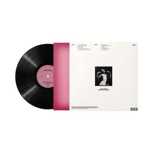 The Art of Loving Vinyl