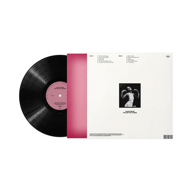 The Art of Loving Vinyl