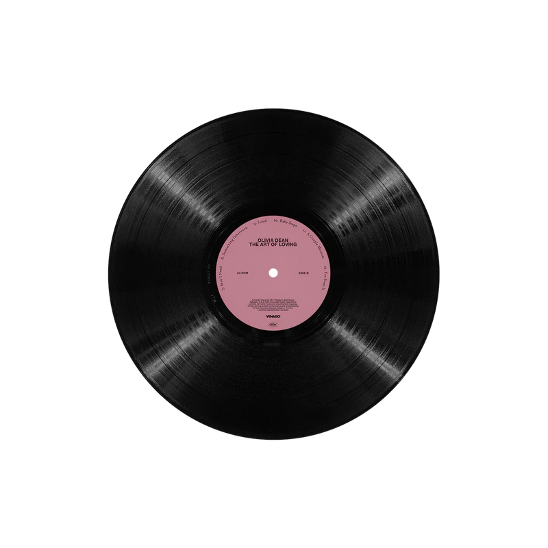 The Art of Loving Vinyl