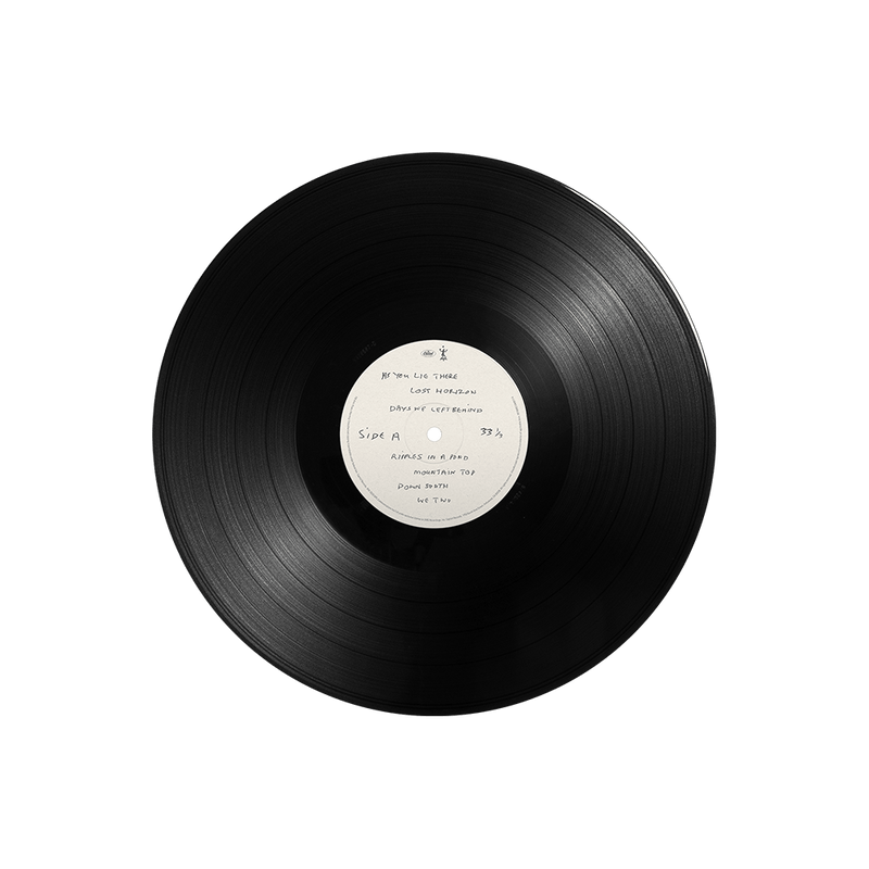 The Boys Of Dungeon Lane - LP