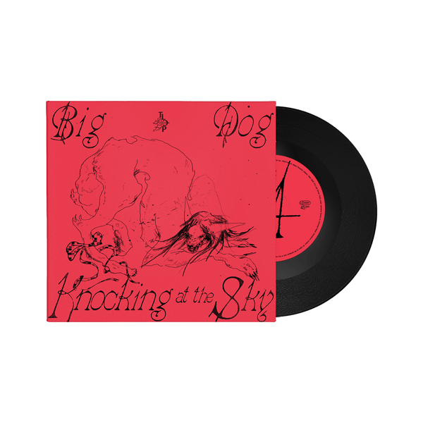 Big Dog / Knocking at the Sky 7" Single