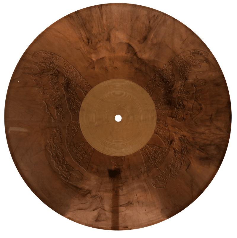 The Last Of The Bugs 12" Vinyl