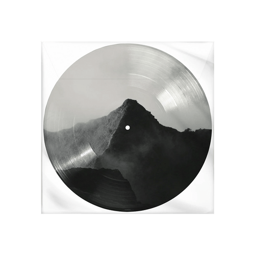 Shawn Picture Disc