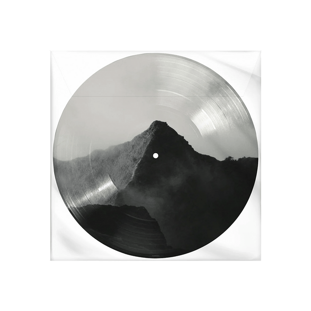 Shawn Picture Disc